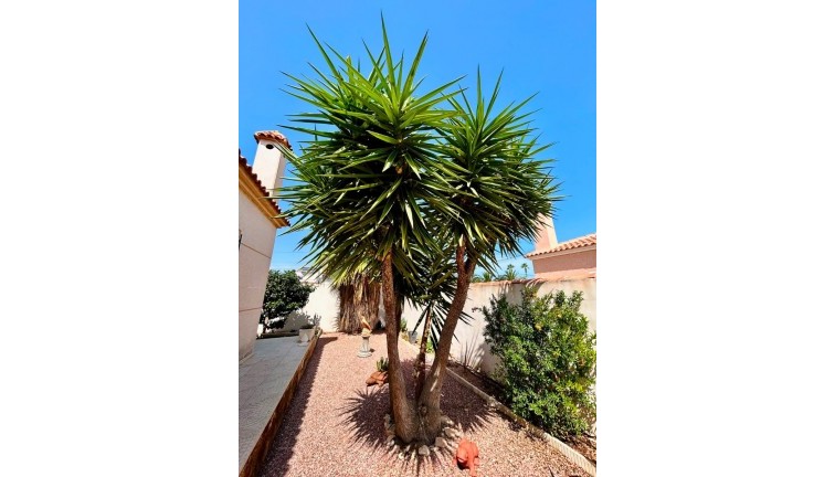 Resale - Chalet - Torrevieja - San Luis