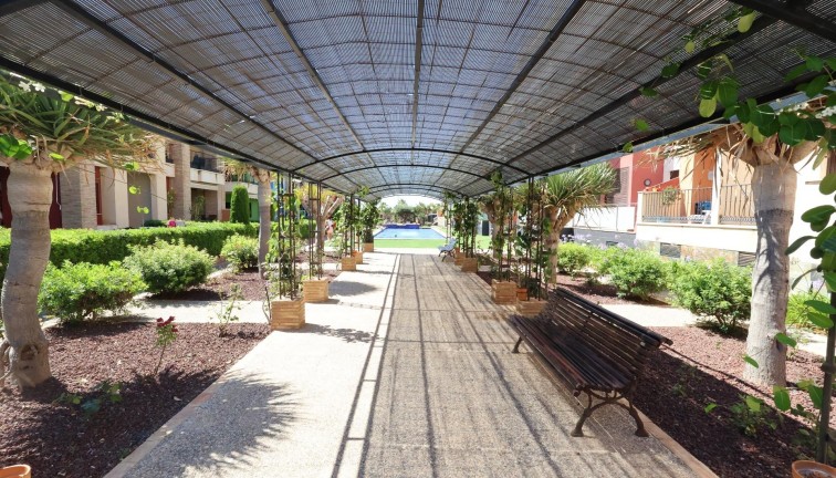 Jälleenmyynti - Asunto - Orihuela Costa - Lomas de Cabo Roig