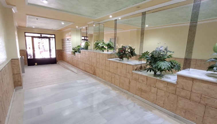 Jälleenmyynti - Duplex-asunto - Torrevieja