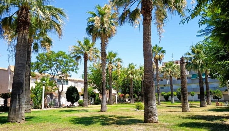 Jälleenmyynti - Bungalow - Orihuela Costa - Cabo Roig