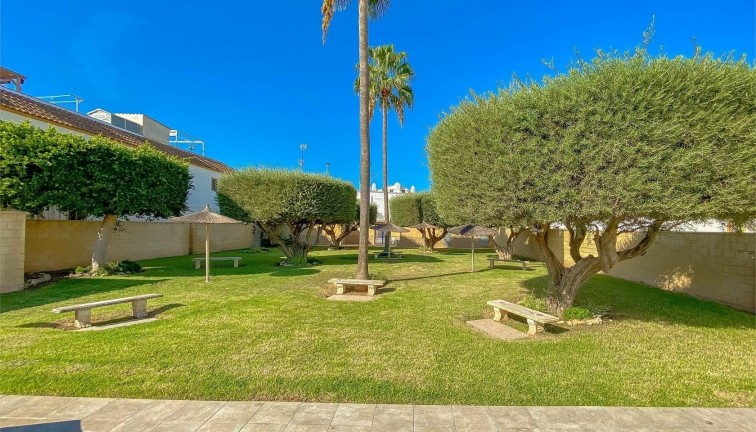 Reventa - Bungalow - Torrevieja - La Siesta