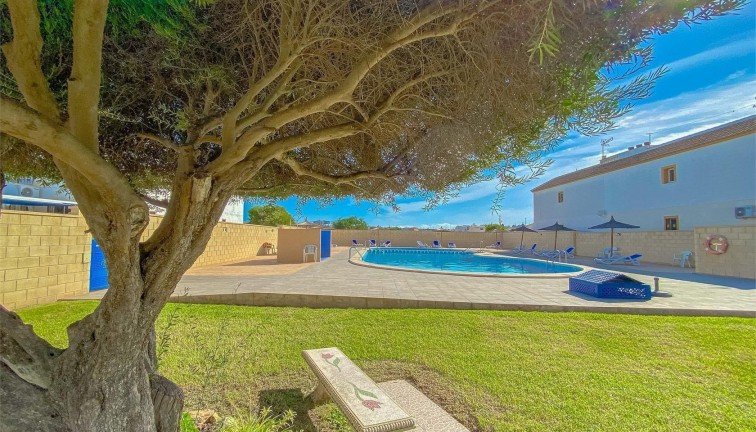 Reventa - Bungalow - Torrevieja - La Siesta