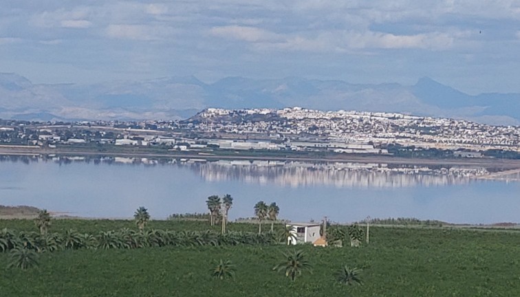 Reventa - Apartamento / piso - Torrevieja - Los Balcones