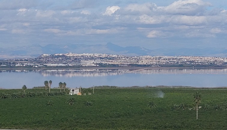 Reventa - Apartamento / piso - Torrevieja - Los Balcones