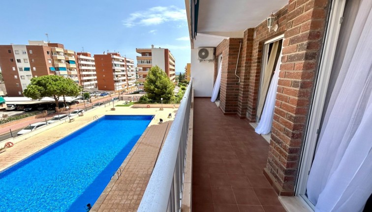 Återförsäljning - Lägenhet - Torrevieja - Punta Prima