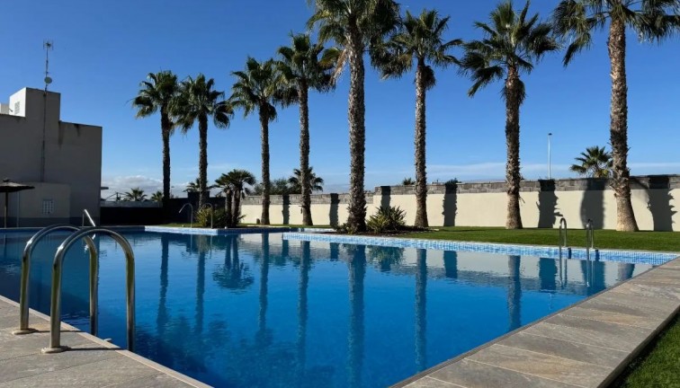 Jälleenmyynti - Paritalo/Rivitalo - Torrevieja - Aguas Nuevas
