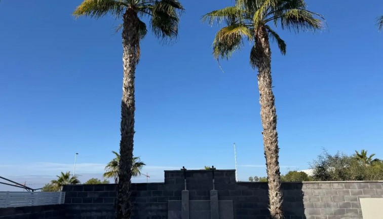 Jälleenmyynti - Paritalo/Rivitalo - Torrevieja - Aguas Nuevas