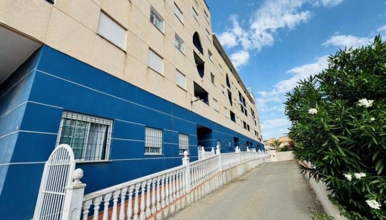 Resale - Apartment - La Mata - LA MATA