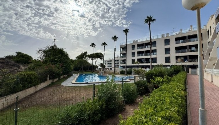 Resale - Apartment - La Mata - LA MATA