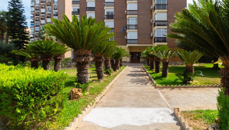 Jälleenmyynti - Asunto - Orihuela Costa - Campoamor