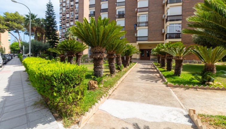 Jälleenmyynti - Asunto - Orihuela Costa - Campoamor