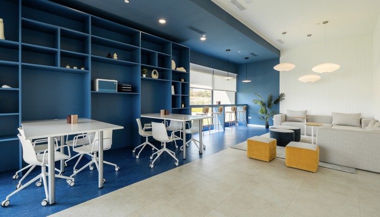 Obra nueva - Apartamento / piso - Benidorm