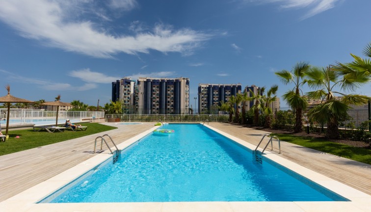 Jälleenmyynti - Asunto - Torrevieja - Punta Prima