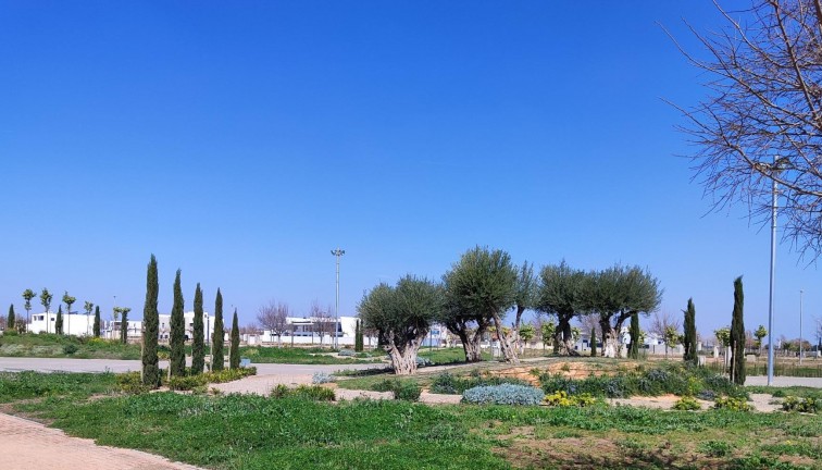 New Build - Apartment - Top Floor Apartment - Torre Pacheco