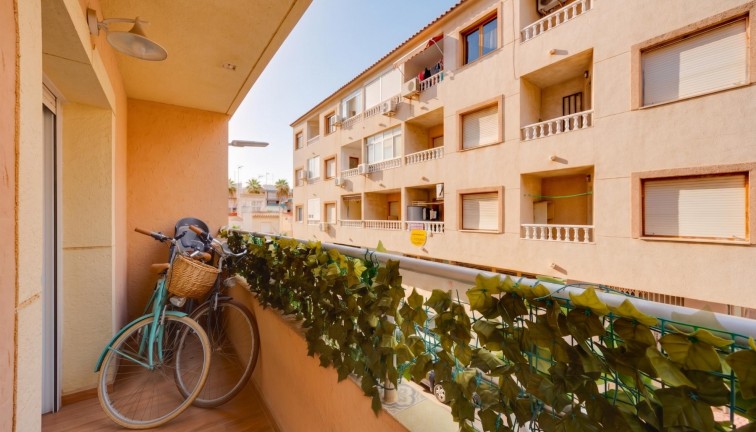 Jälleenmyynti - Asunto - Torrevieja - Acequion