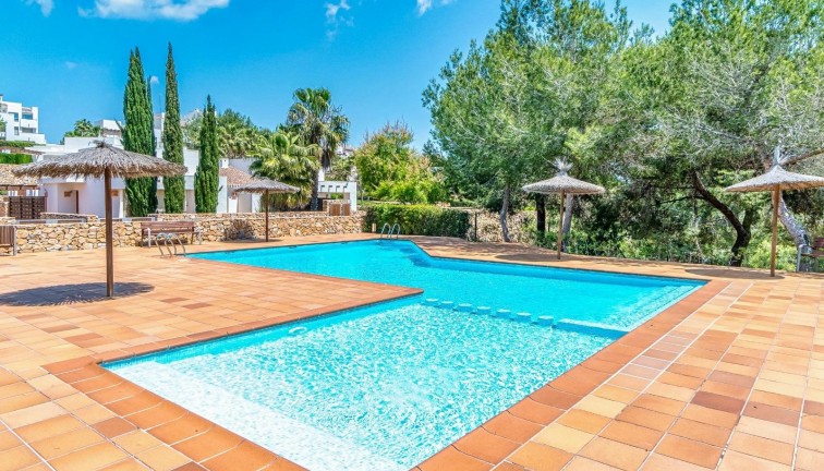 Reventa - Apartamento - Apartamento en el último piso - Orihuela Costa - Las Colinas