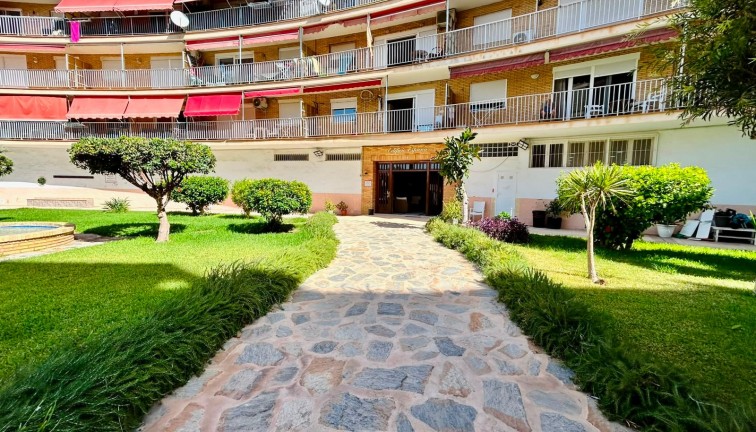 Reventa - Apartamento / piso - Torrevieja - Playa de los Locos