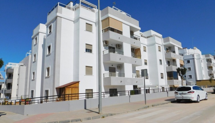 Long Term Rental - Apartment - San Miguel de Salinas