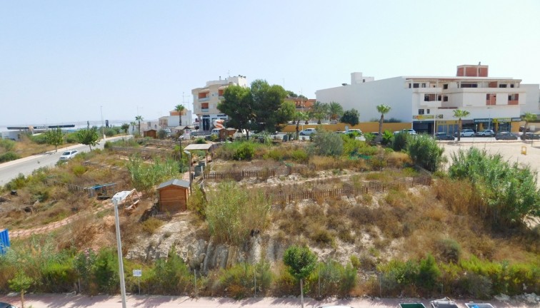 Long Term Rental - Apartment - San Miguel de Salinas