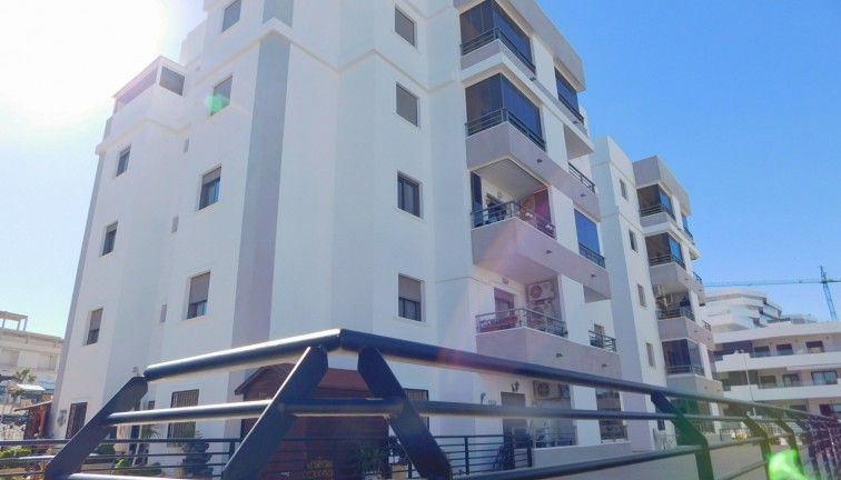 Long Term Rental - Apartment - San Miguel de Salinas