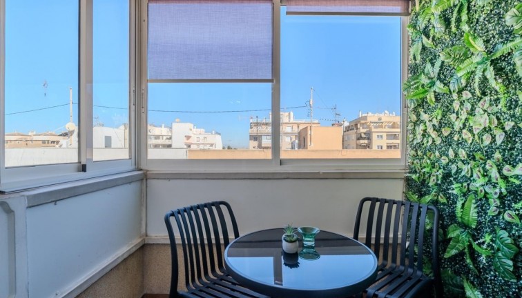 Reventa - Apartamento / piso - Torrevieja - Calle Patricio Perez, 03183