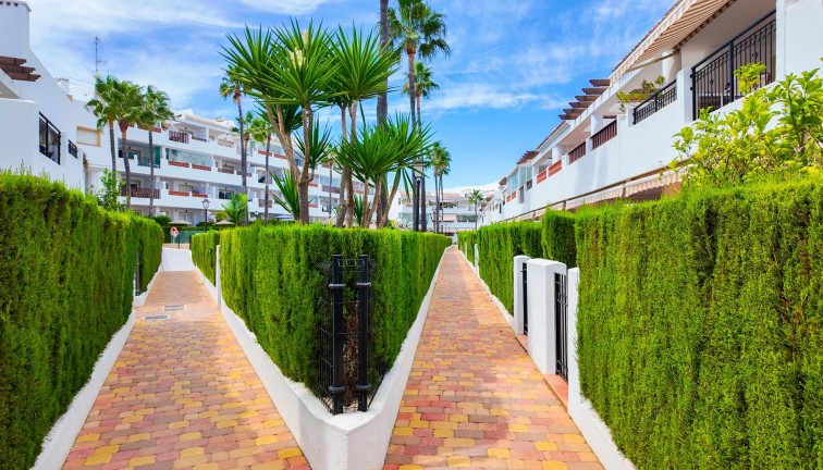 Resale - Apartment - Orihuela Costa - Villamartín