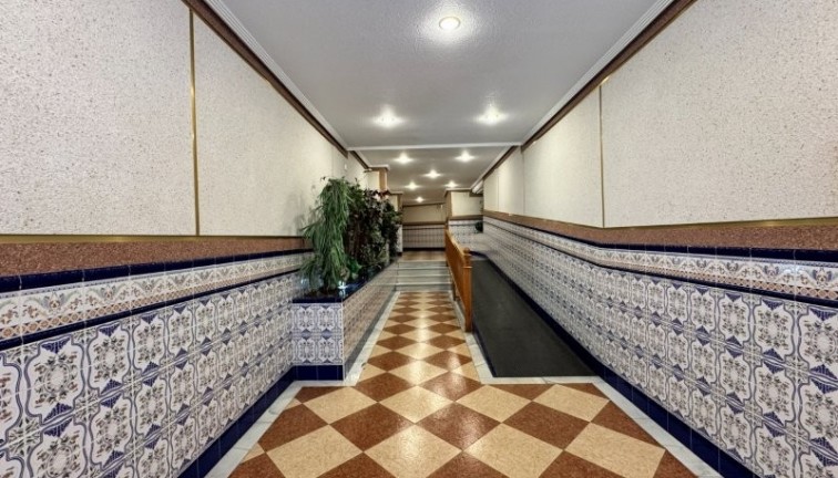 Reventa - Apartamento / piso - La Mata - LA MATA