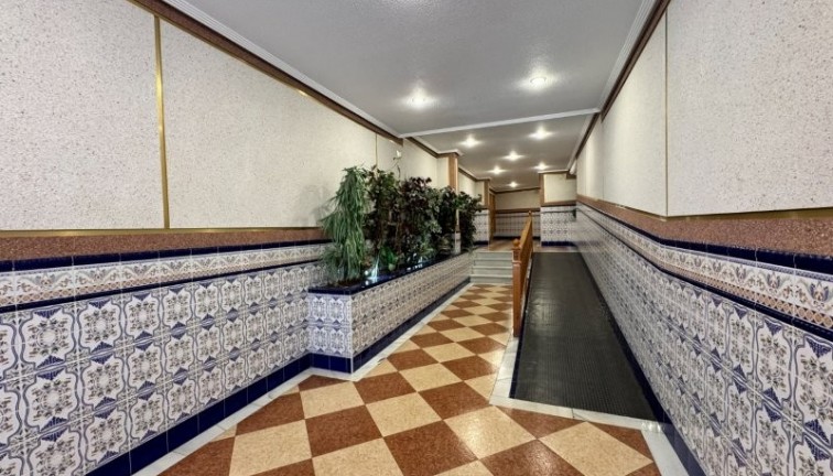Reventa - Apartamento / piso - La Mata - LA MATA