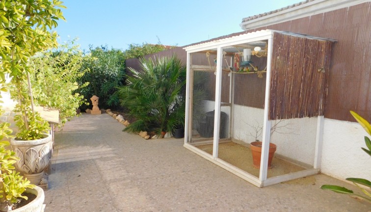 Jälleenmyynti - Paritalo/Rivitalo - Torrevieja - San Luis