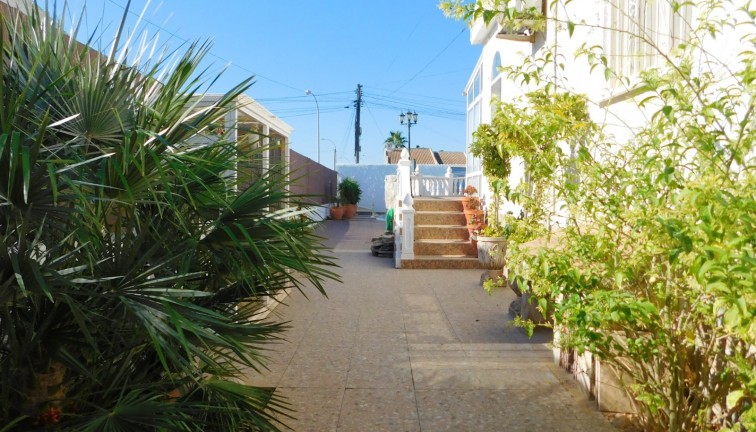 Jälleenmyynti - Paritalo/Rivitalo - Torrevieja - San Luis