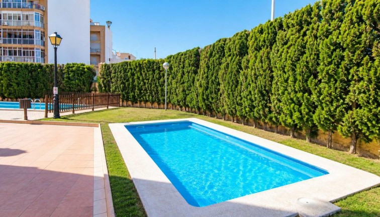 Reventa - Apartamento / piso - Torrevieja - Playa de los Locos