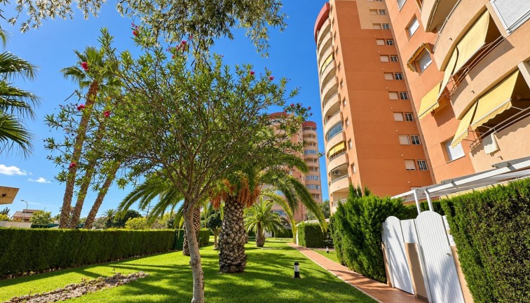 Reventa - Apartamento dúplex - Orihuela Costa - Campoamor