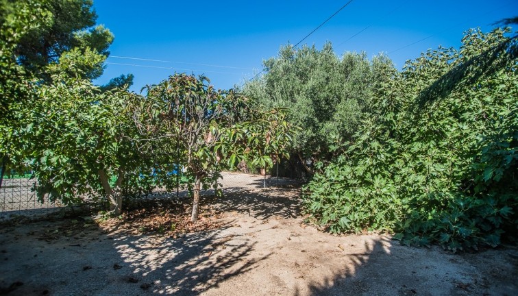 Resale - Chalet - Orihuela - Redován
