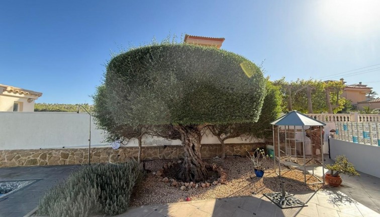 Jälleenmyynti - Erillistalo - San Miguel de Salinas