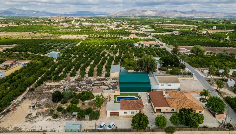 Jälleenmyynti - Erillistalo - Orihuela - La Matanza