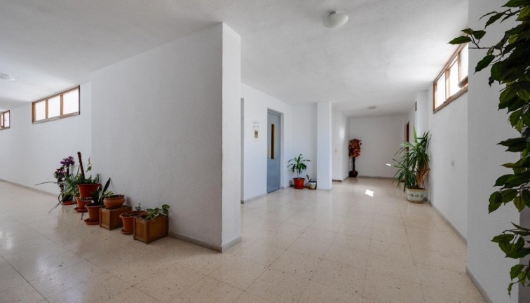 Jälleenmyynti - Asunto - Ylimmän kerroksen asunto - Torrevieja - Acequion