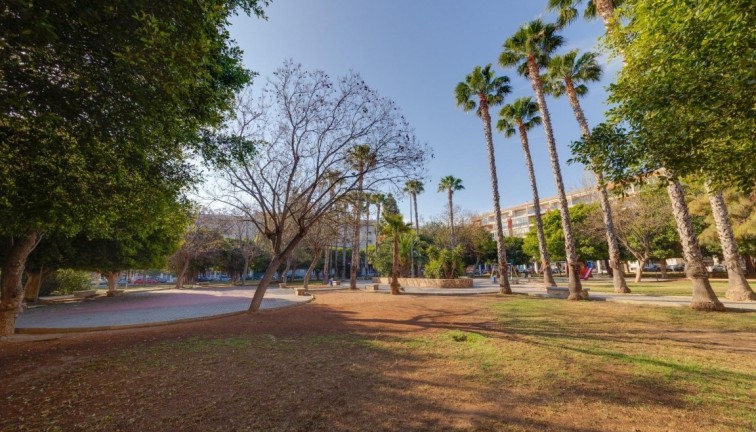 Jälleenmyynti - Asunto - Ylimmän kerroksen asunto - Torrevieja - Acequion