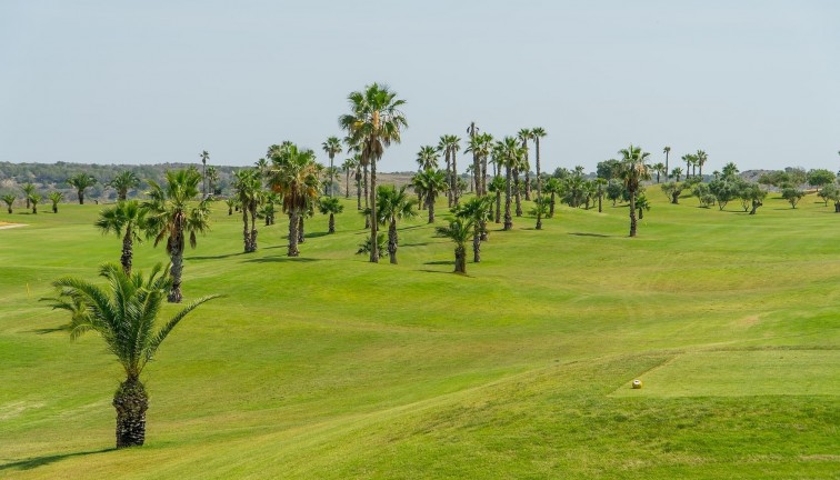 Reventa - Apartamento / piso - Vistabella Golf