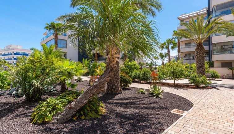 Reventa - Apartamento / piso - Orihuela Costa