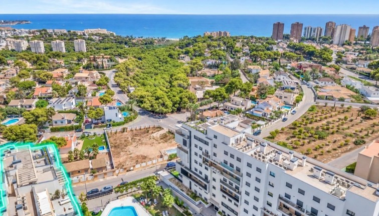 Jälleenmyynti - Asunto - Dehesa de campoamor - Campoamor