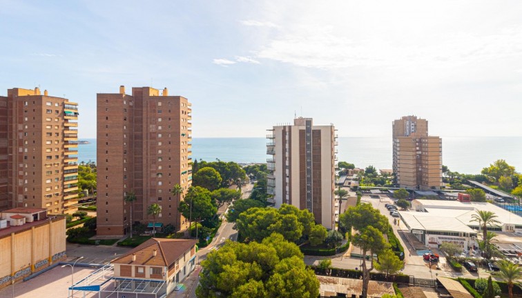 Återförsäljning - Lägenhet - Orihuela Costa - Campoamor
