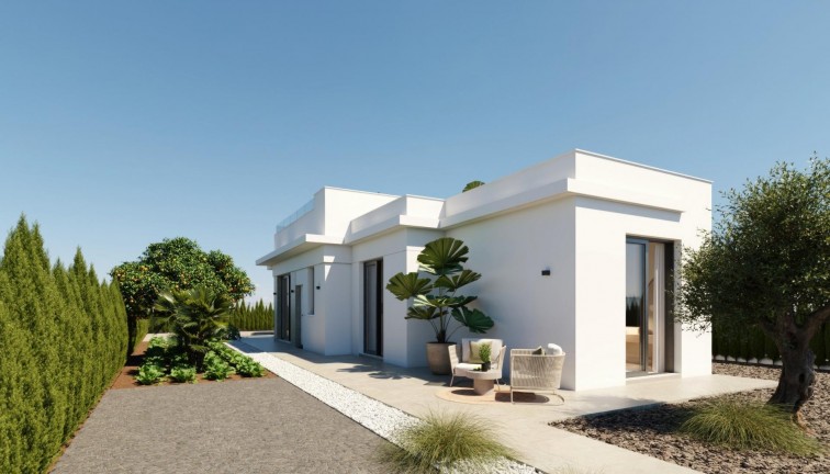 Obra nueva - Chalet - Murcia - Fuente Alamo de Murcia