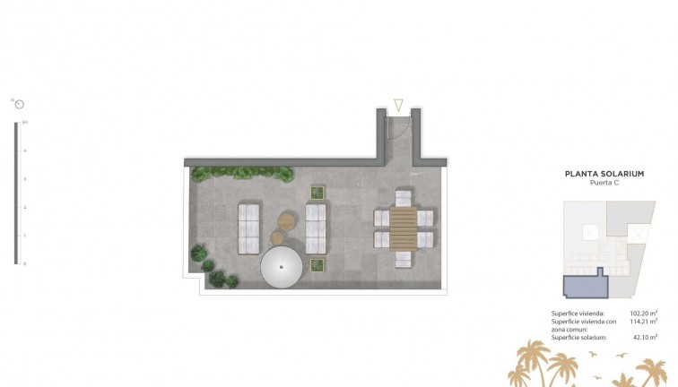 Obra nueva - Apartamento - Apartamento en el último piso - Guardamar del Segura