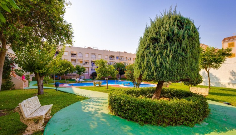 Jälleenmyynti - Asunto - Ylimmän kerroksen asunto - Torrevieja - Acequion