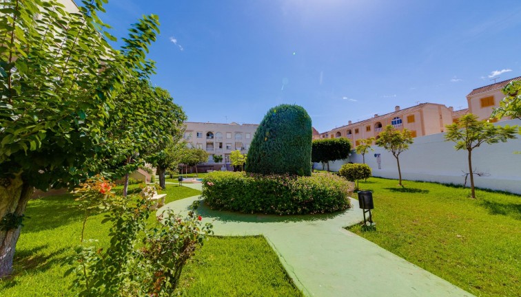 Jälleenmyynti - Asunto - Ylimmän kerroksen asunto - Torrevieja - Acequion