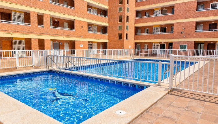 Reventa - Apartamento / piso - Torrevieja - Acequion
