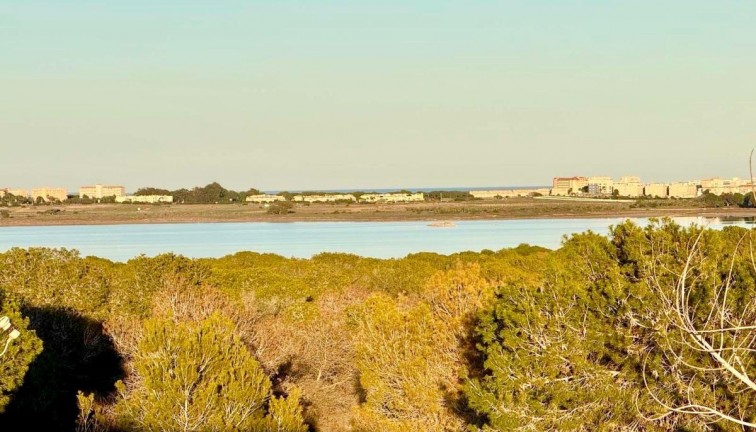 Resale - Semi-Detached - Torrevieja