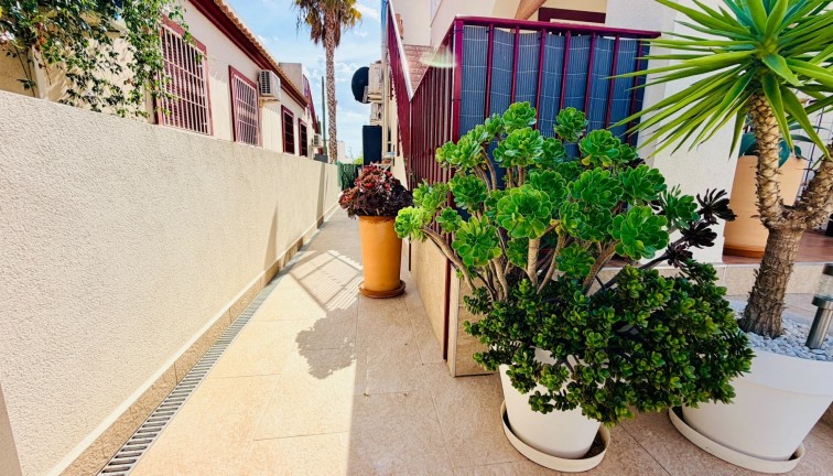 Resale - Semi-Detached - Daya Vieja