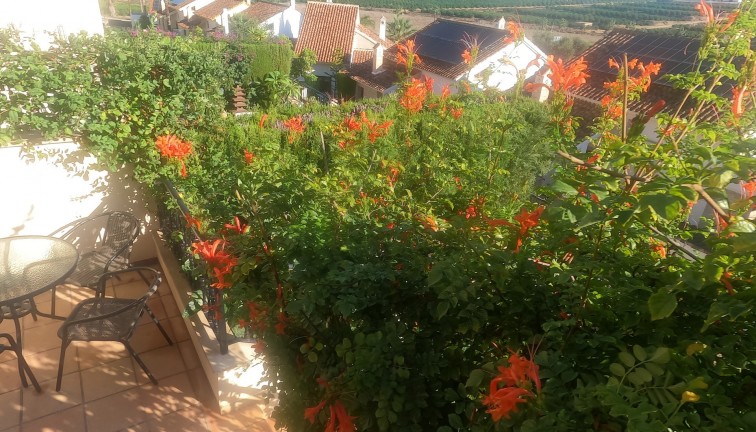 Jälleenmyynti - Bungalow - Algorfa - La Finca Golf