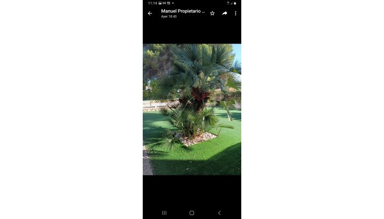 Resale - Chalet - Campoamor